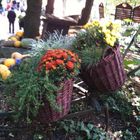 Herbst im Europa Park