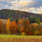 Herbst im Eyachtal