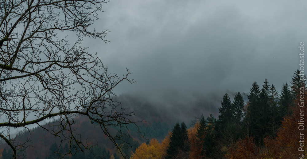 Herbst im Feldberg