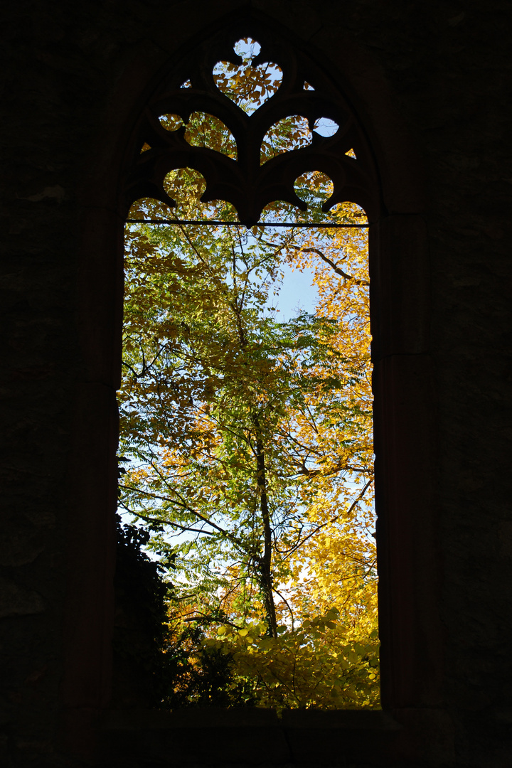 Herbst im Fenster