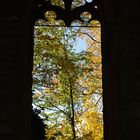 Herbst im Fenster