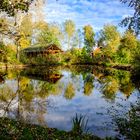 Herbst im Ferienpark