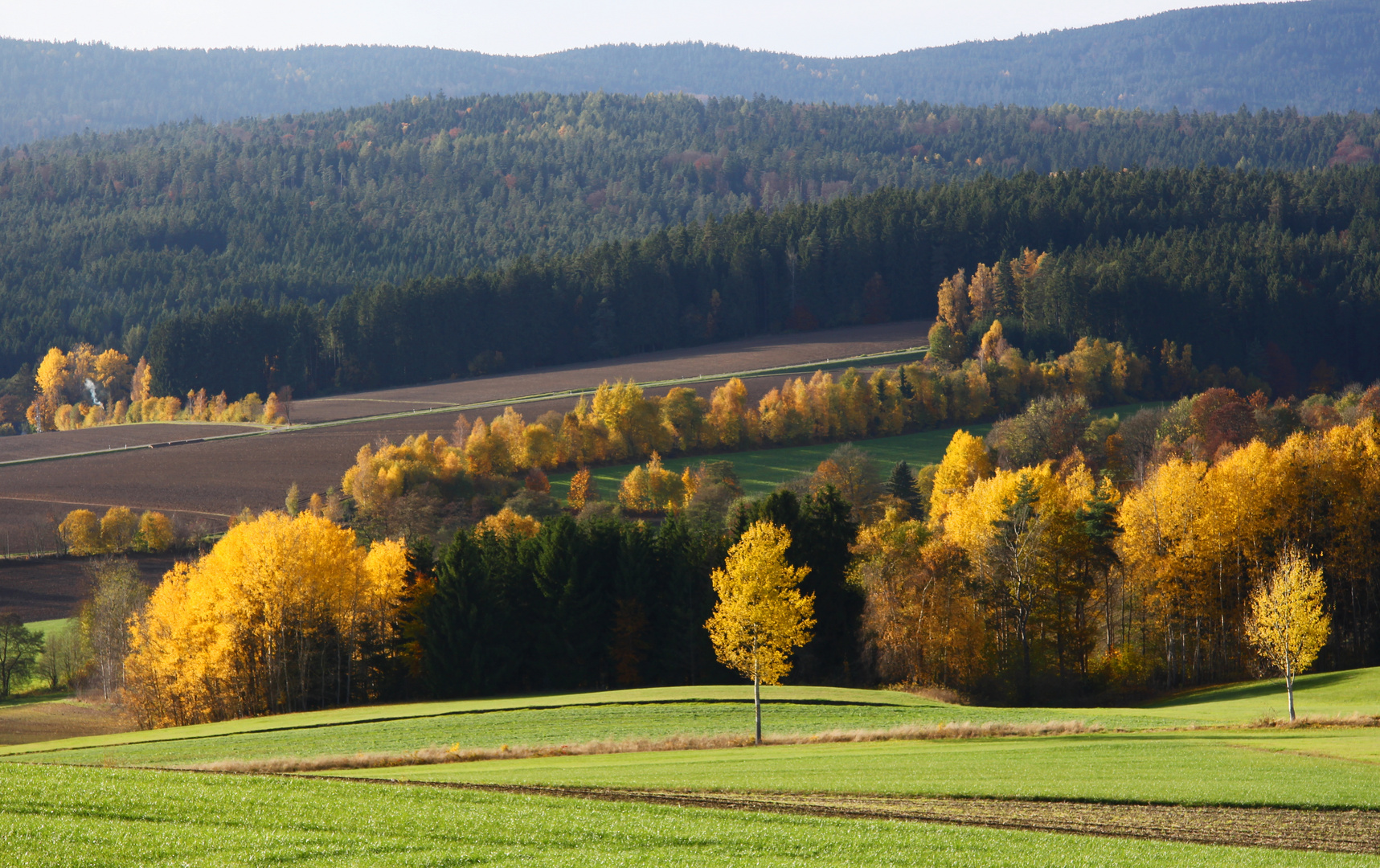 Herbst im Fichtelgebirge 2016