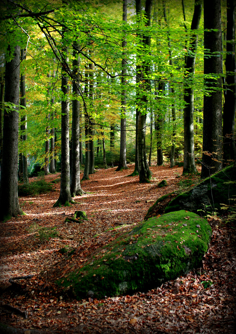 Herbst im Fichtelgebirge