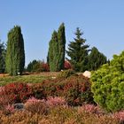 Herbst im Findlingspark