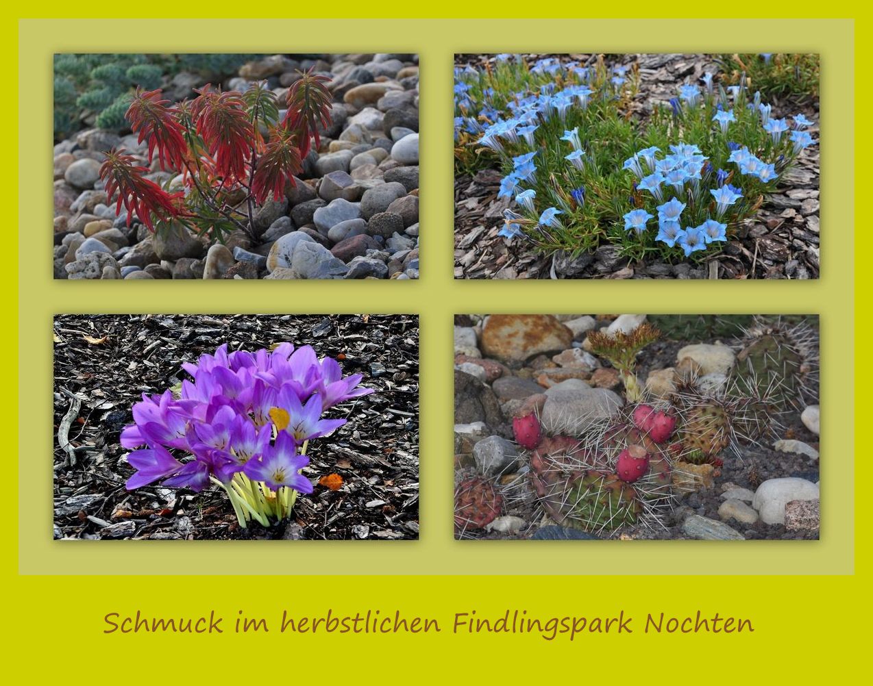 Herbst im Findlingspark