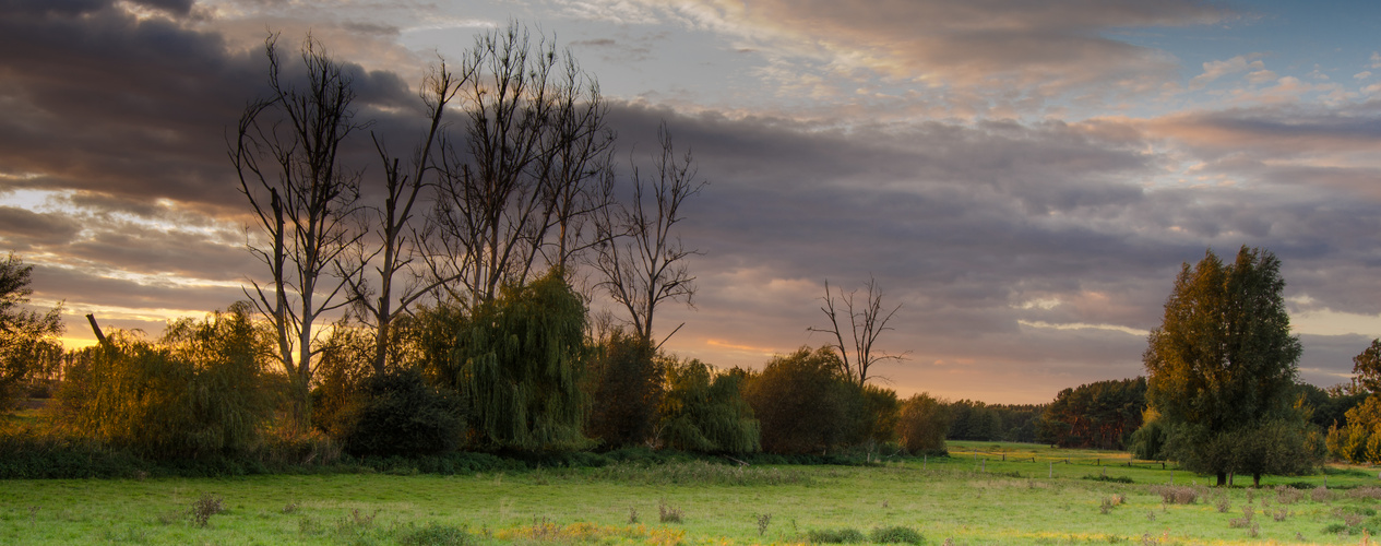 Herbst im Finkenkrug