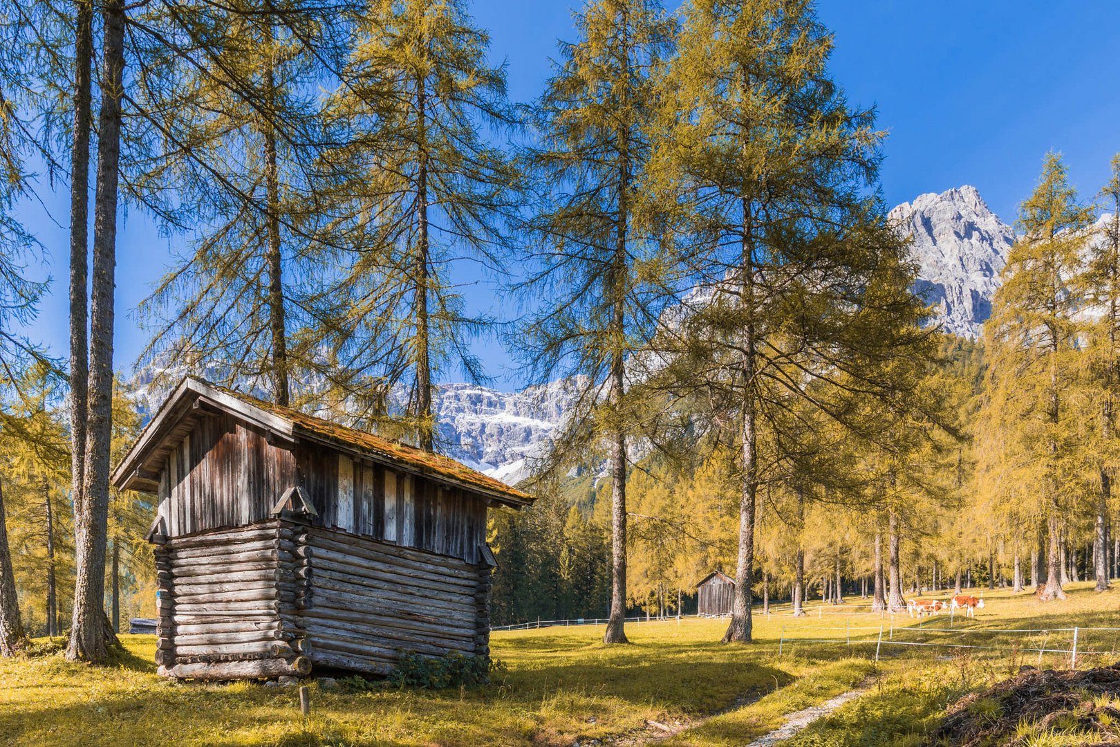 Herbst im Fischleintal