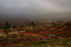 Herbst im Fjäll