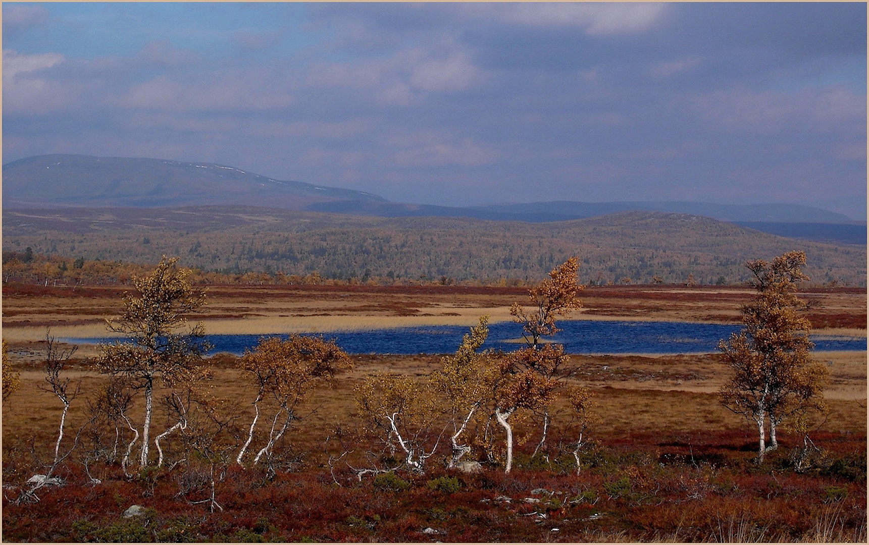 Herbst im Fjäll...