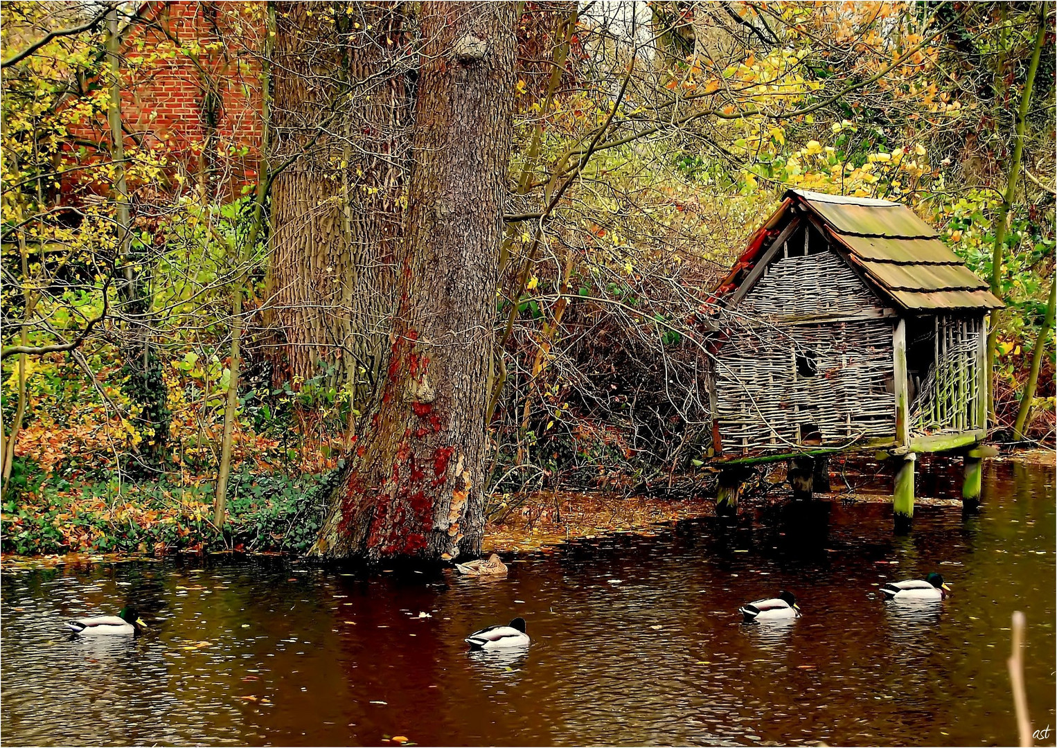 Herbst im Fluss