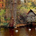 Herbst im Fluss