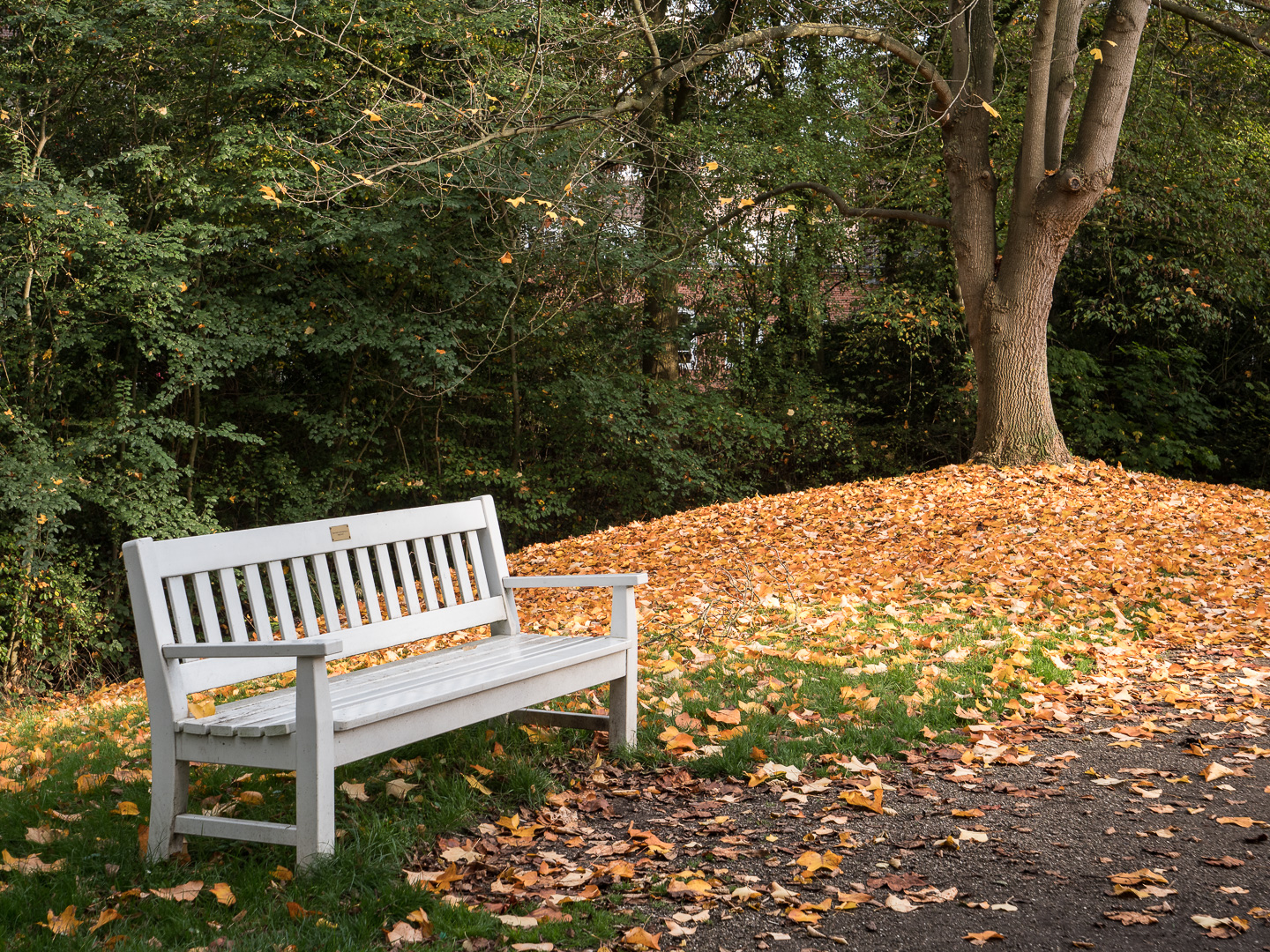 Herbst im Fockepark