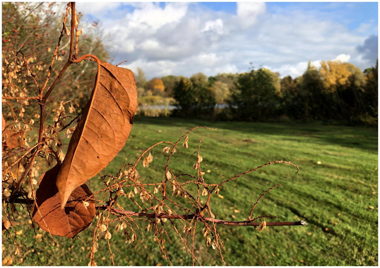 Herbst im Fokus