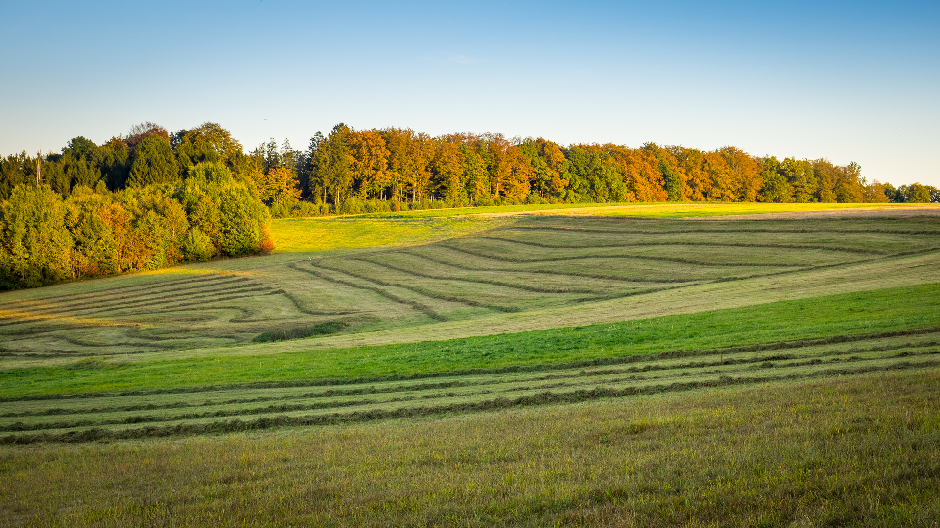 Herbst im Fränkisch-Schwäbischen Wald