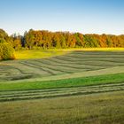 Herbst im Fränkisch-Schwäbischen Wald