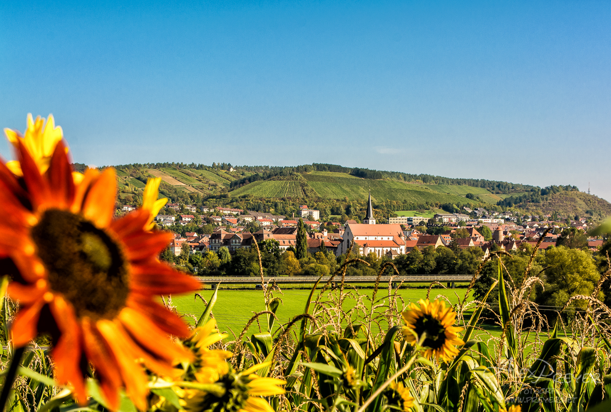 Herbst im fränkischen Saaletal