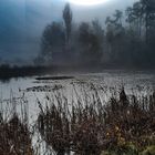 Herbst im Frankenland