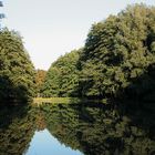 Herbst im Frankfurter Stadtwald