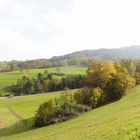 Herbst im Fricktal Kt.AG CH