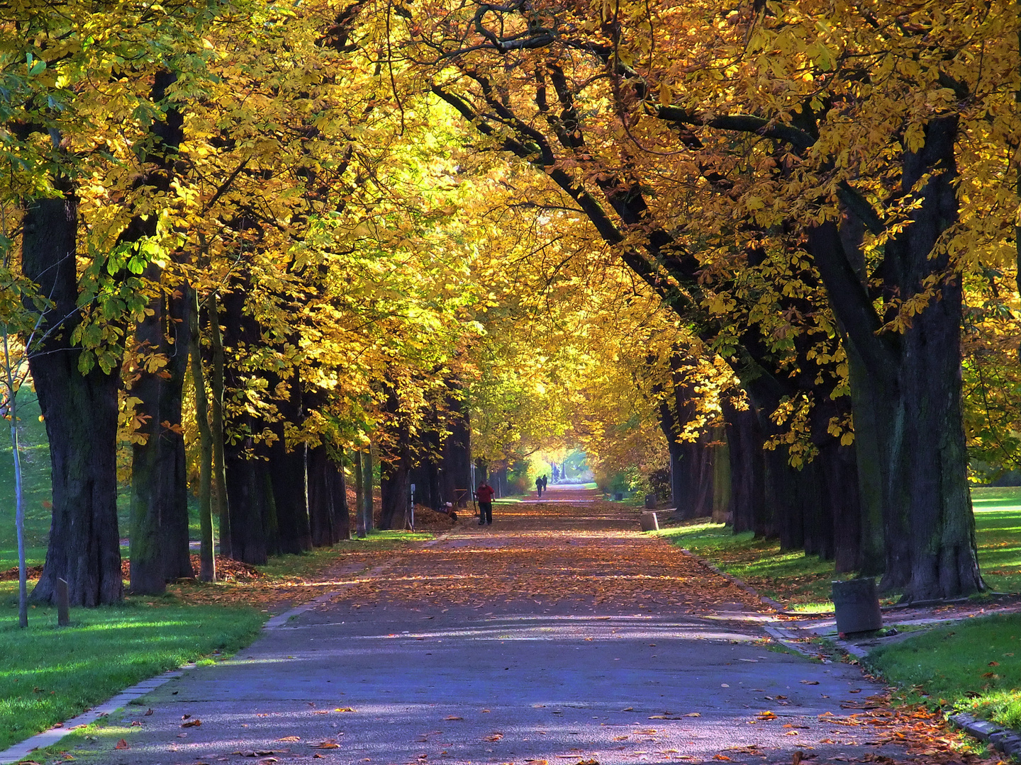 Herbst im Friedenspark Leipzig