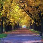 Herbst im Friedenspark Leipzig