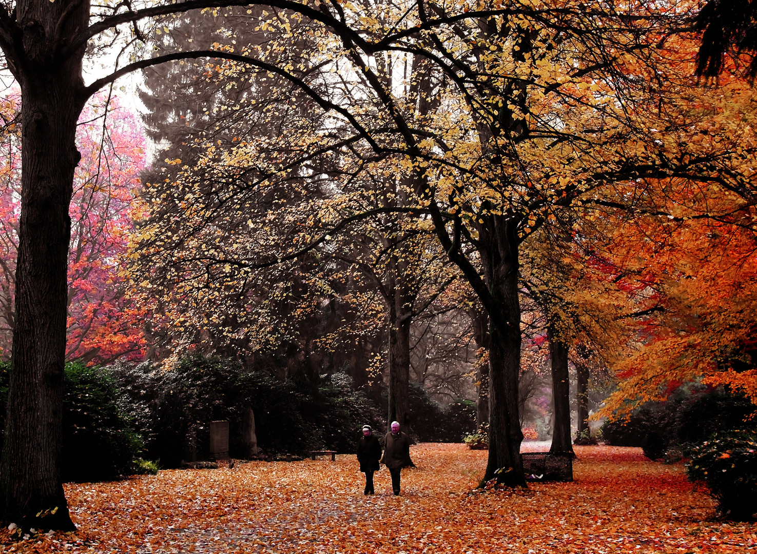 Herbst im Friedhof Hamburg-Ohlsdorf