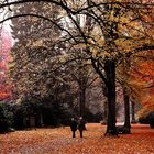 Herbst im Friedhof Hamburg-Ohlsdorf