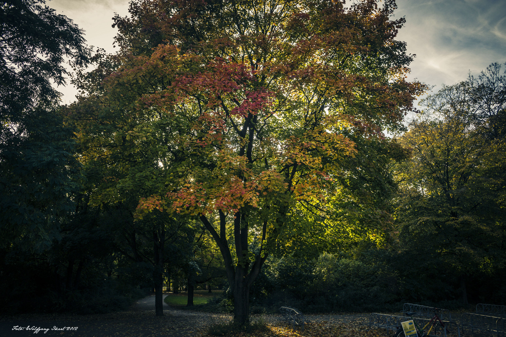 Herbst im Fritz-Schloß-Park