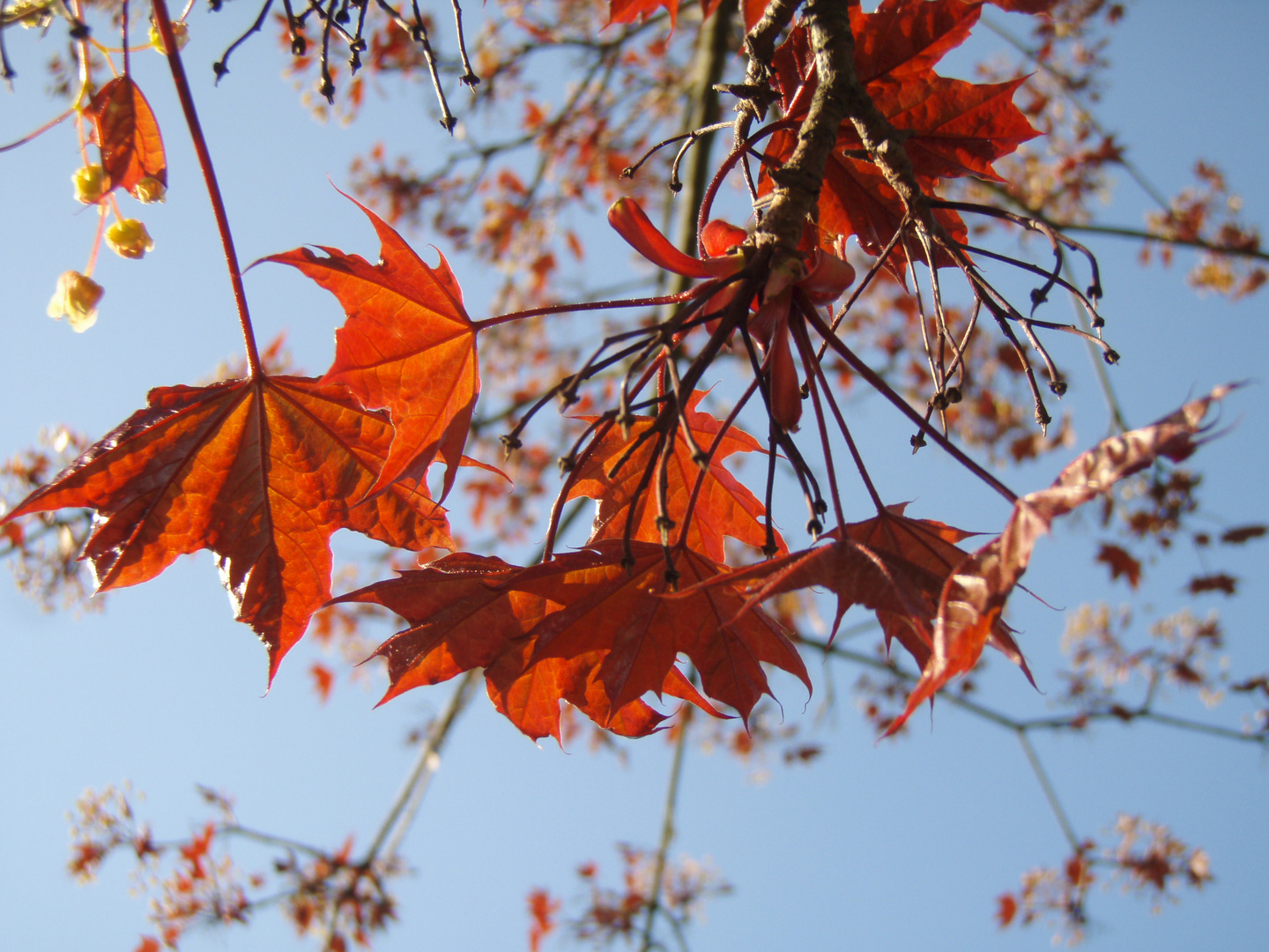 Herbst im Frühling