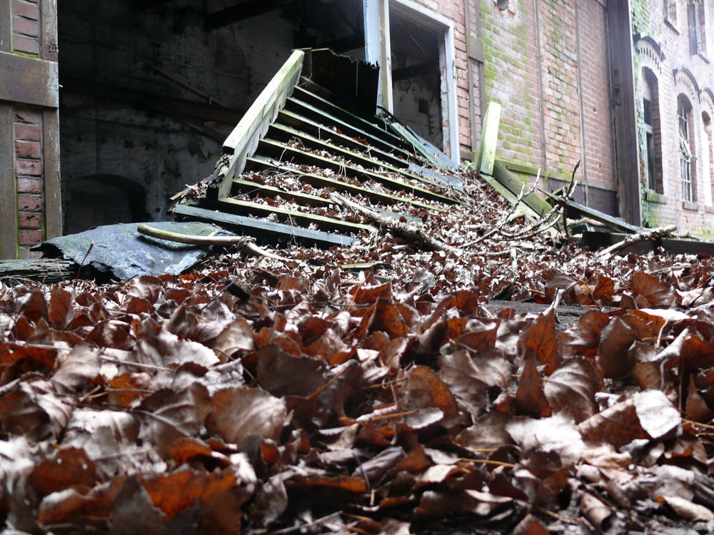 herbst im frühling