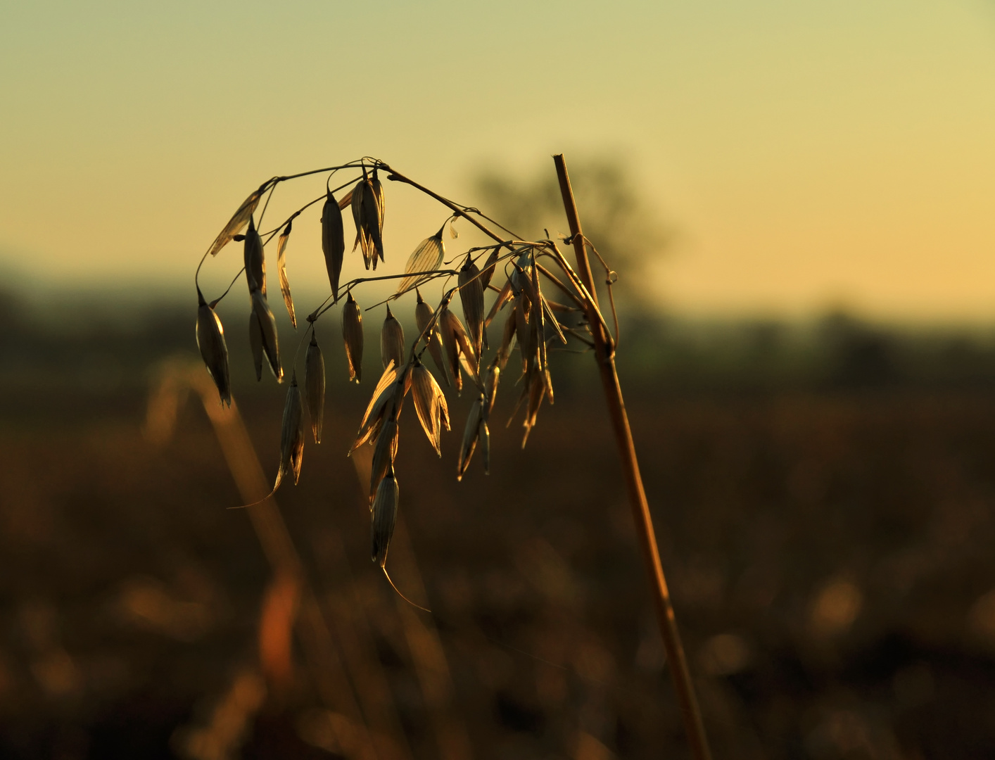 Herbst im Frühling ?