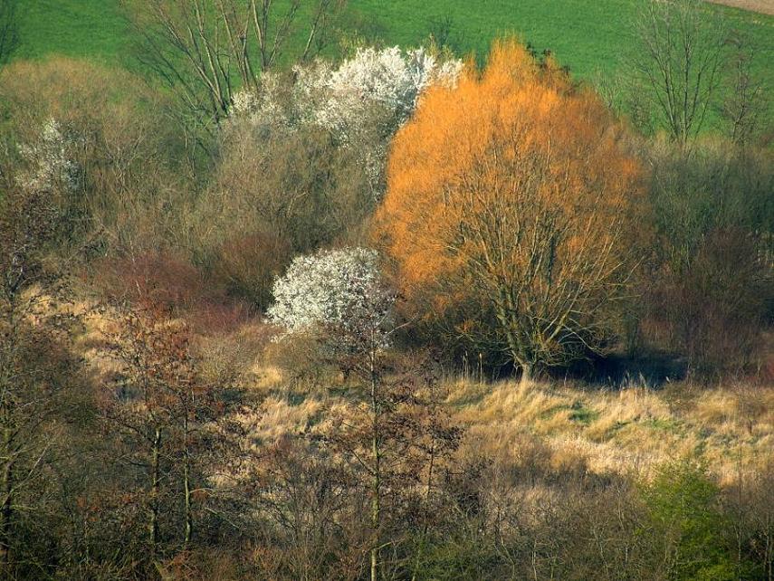 Herbst im Frühling