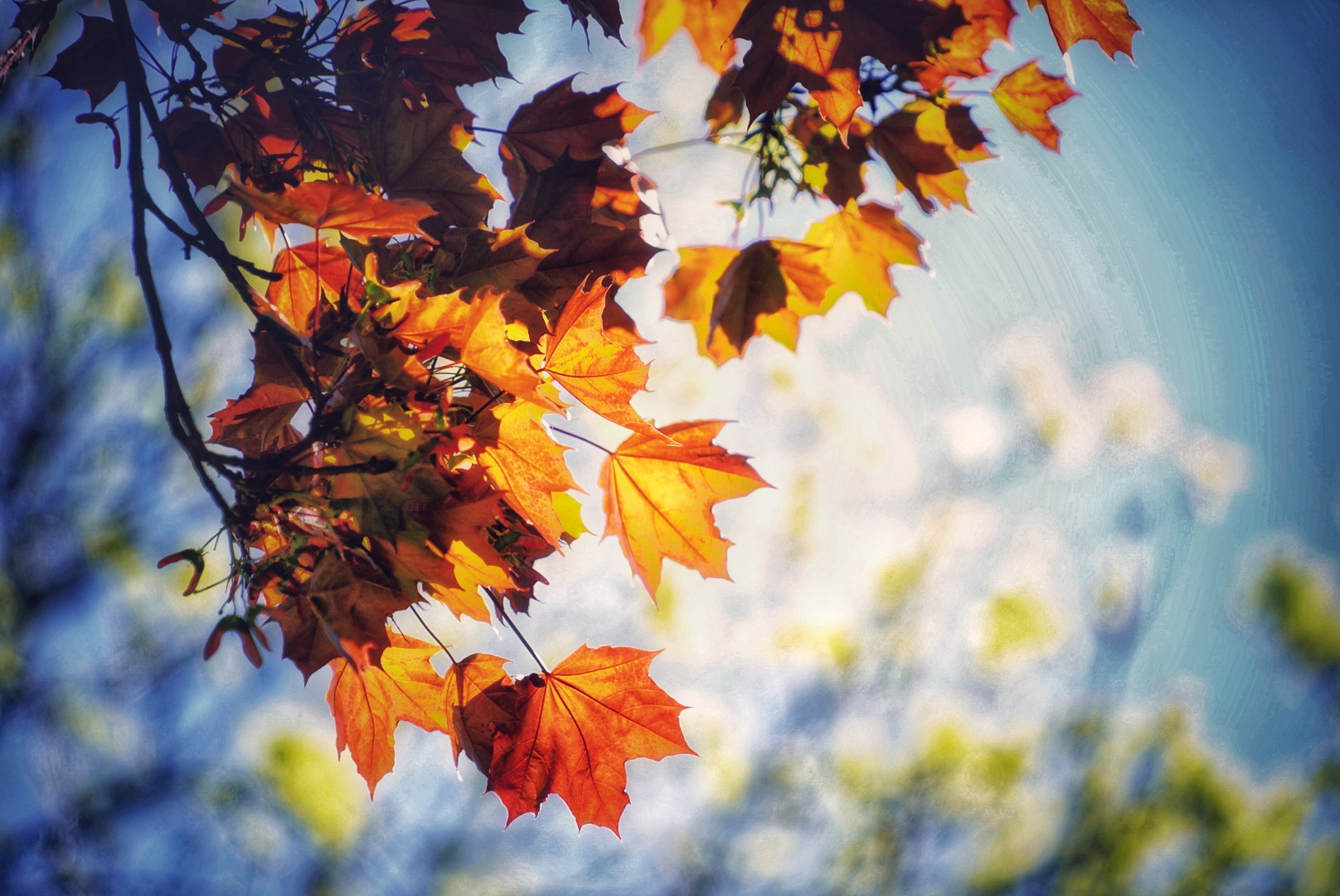 Herbst im Frühling :) 