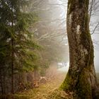 Herbst im Frühling