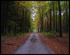 Herbst im Frühling? Verkehrte Welt...