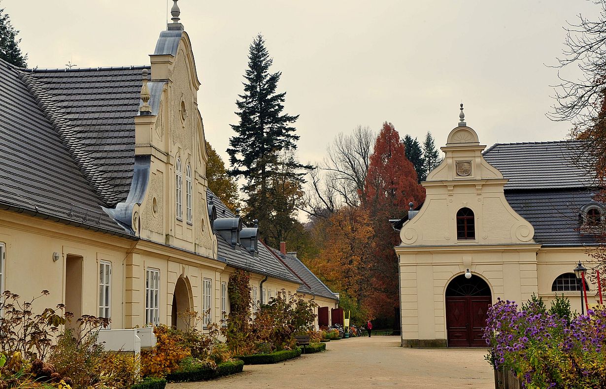 Herbst im Fürst Pückler Park