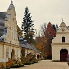 Herbst im Fürst Pückler Park