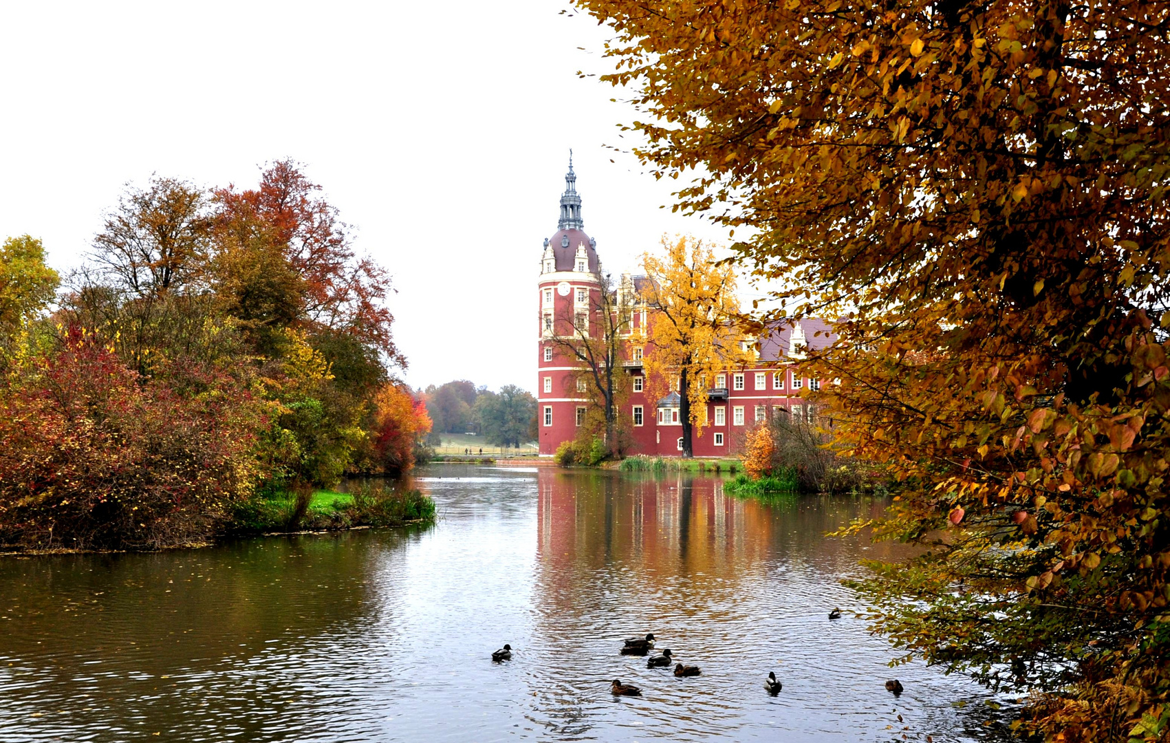 Herbst im Fürst Pückler Park