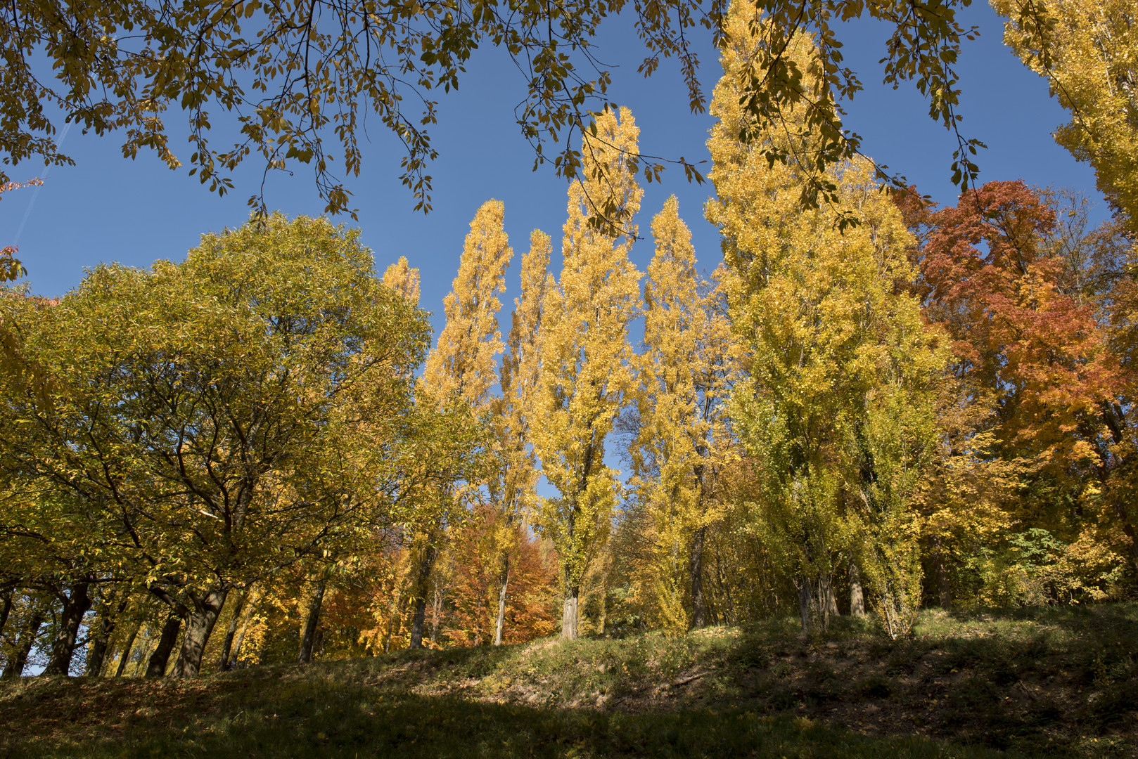 Herbst im Fürstenlager Bensheim