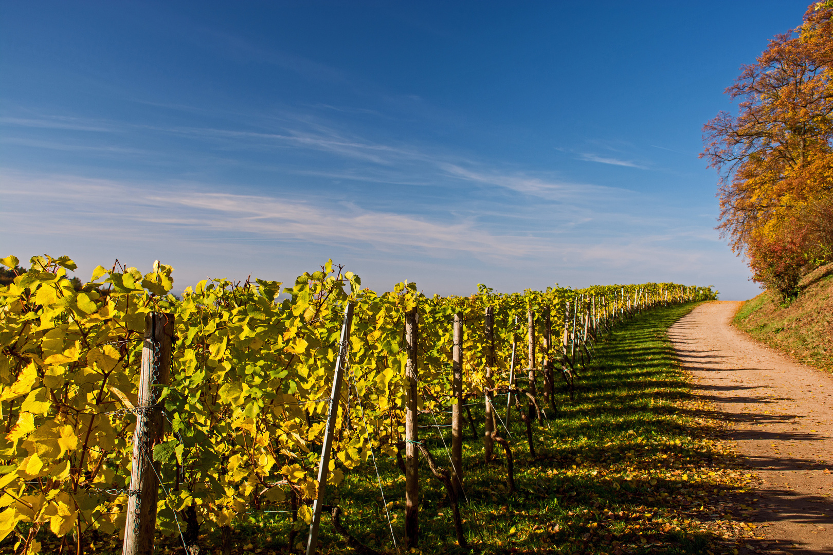 Herbst im Fürstenlager