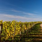 Herbst im Fürstenlager