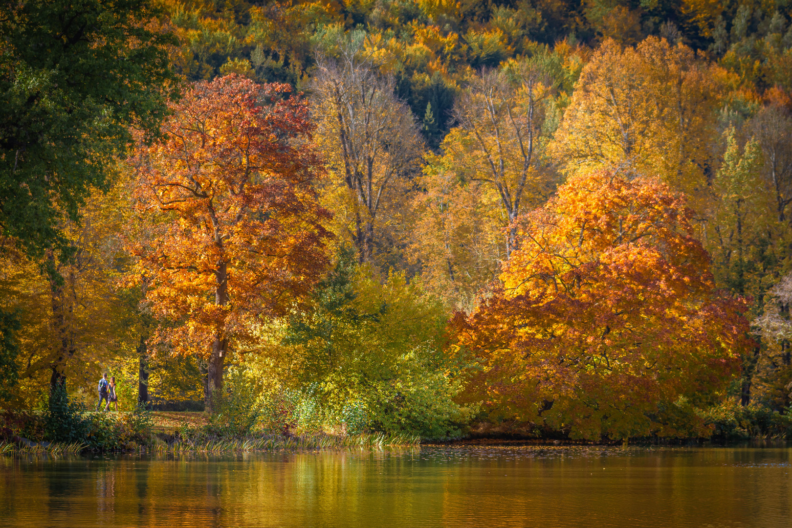 Herbst im fürstlichen Park Greiz