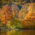 Herbst im fürstlichen Park Greiz