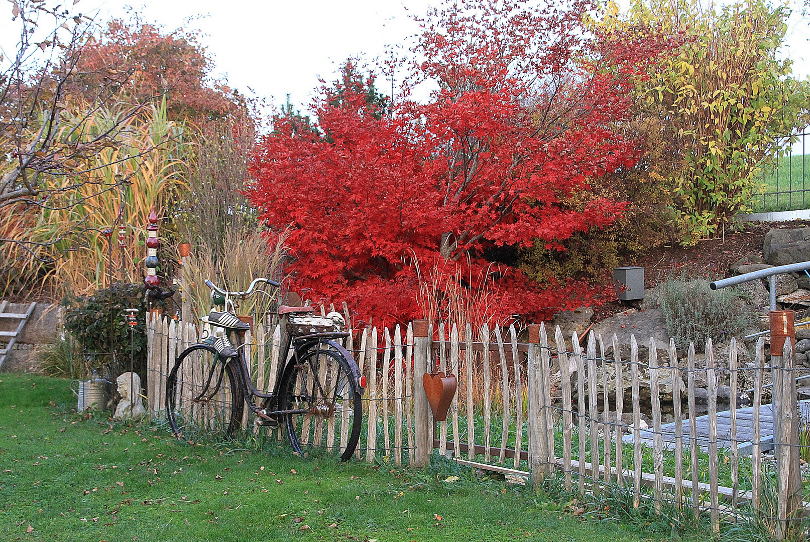 Herbst im Garten