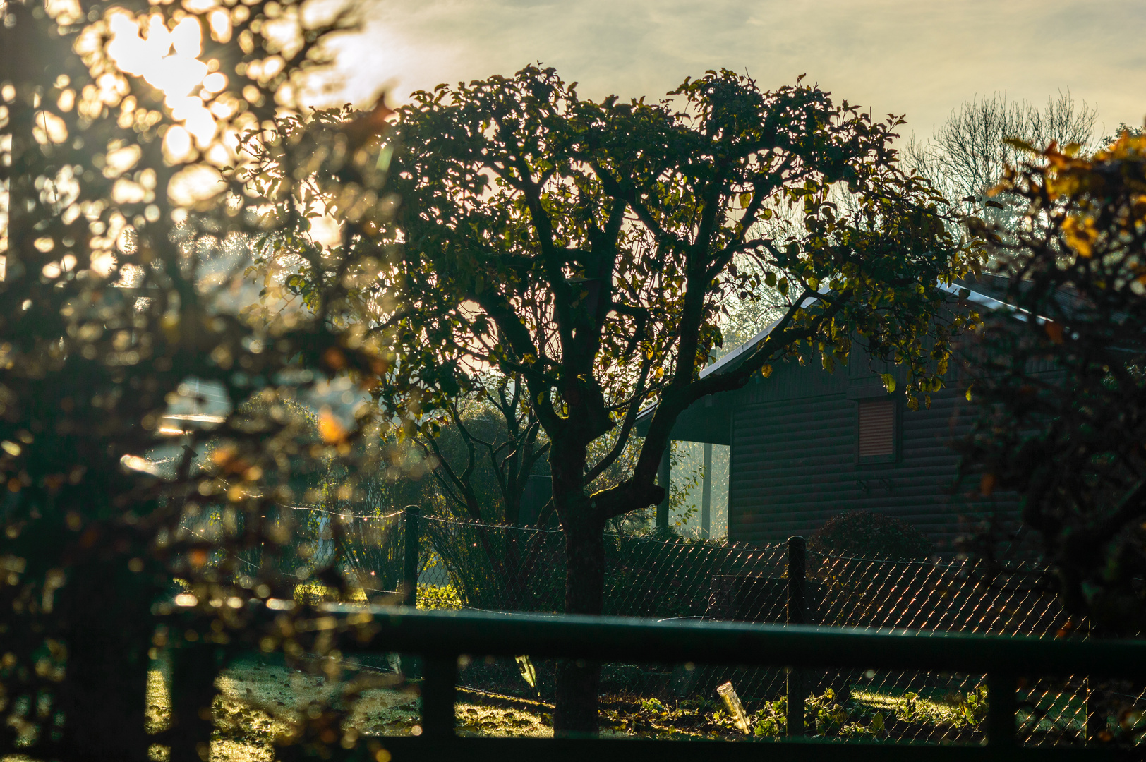 Herbst im Garten