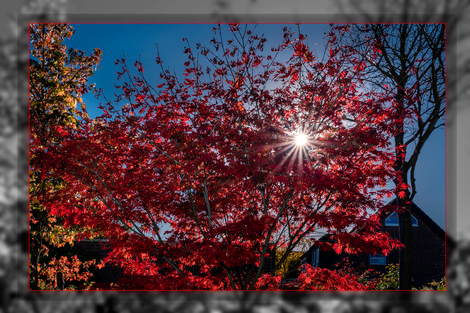 Herbst im Garten