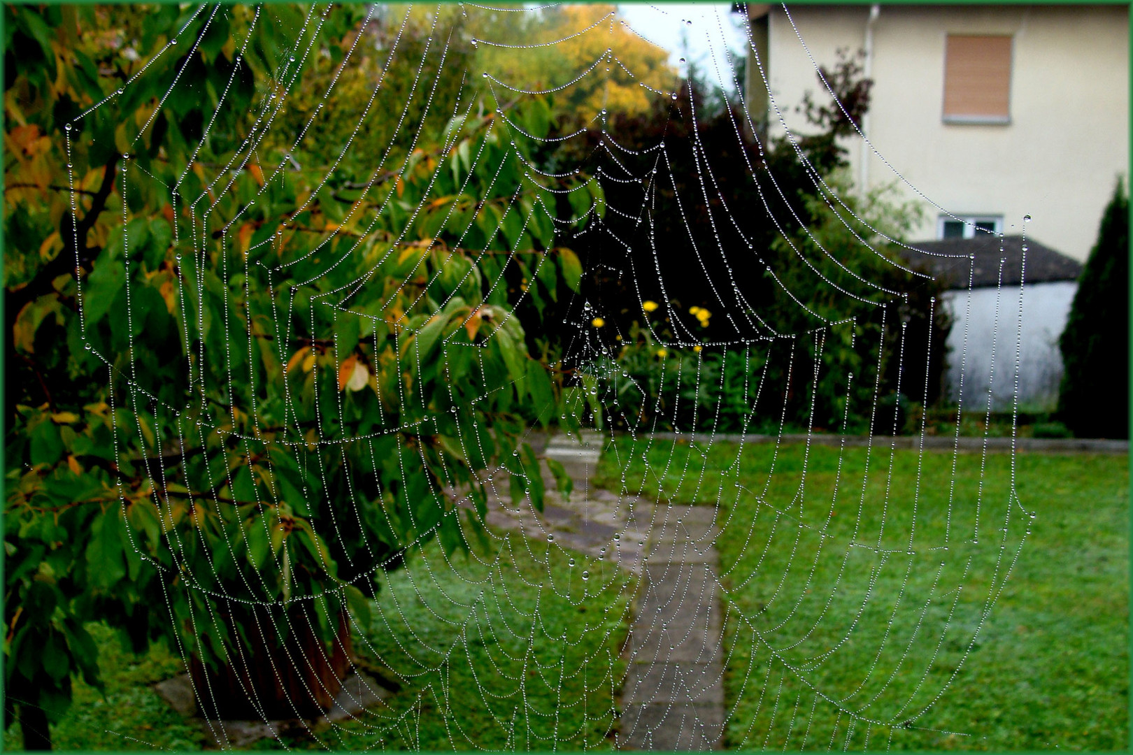 Herbst-im-Garten-