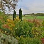 Herbst im Garten