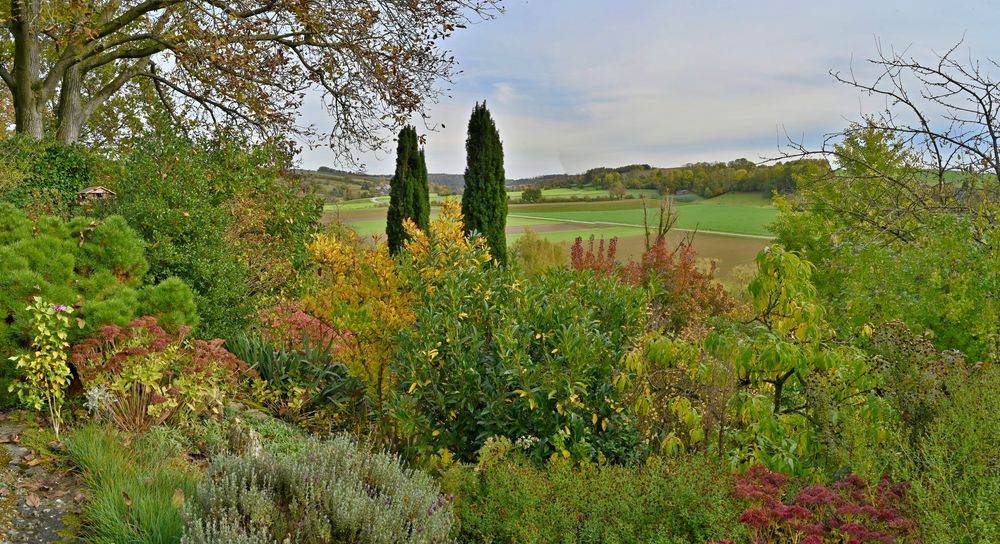 Herbst im Garten